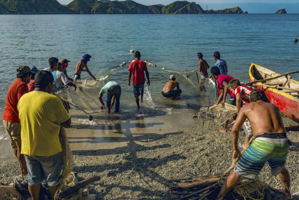 Sustitución de arte de pesca Maritima - Fauna Caribe Colombiana