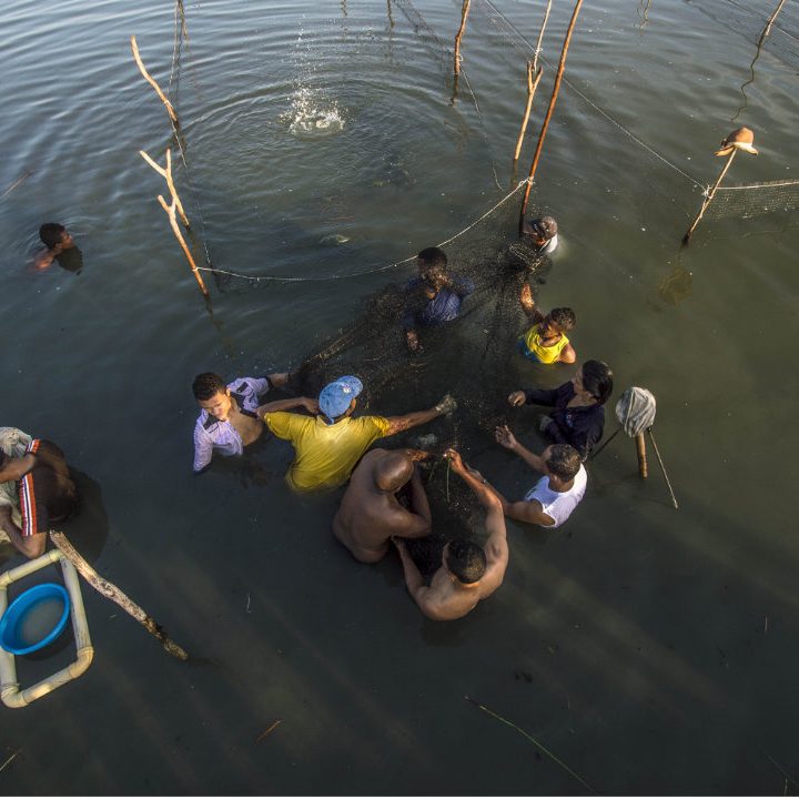Estación de Acuicultura Marina - Fauna Caribe Colombiana