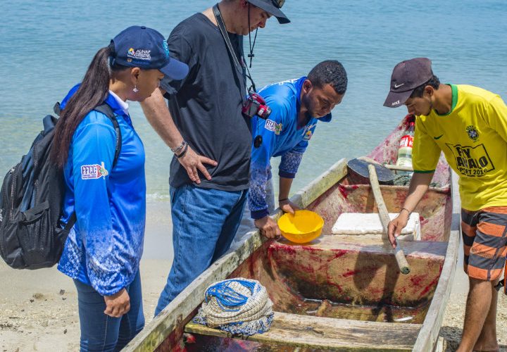Fortalecimiento a pescadores artesanales Fauna Caribe