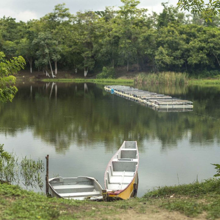 Geomembrana y jaulas flotantes - Fauna Caribe Colombia